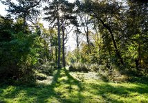 DSC_0086-EDIT.jpg