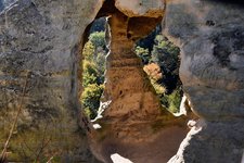 DSC_0224.JPG