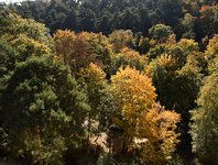 DSC_0220.JPG
