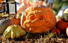 DSC_0087-EDIT.jpg