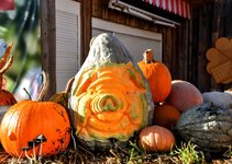 DSC_0090-EDIT.jpg