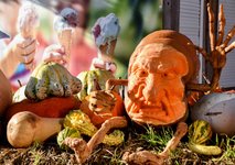 DSC_0086-EDIT.jpg