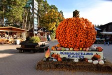 DSC_0031-EDIT.jpg