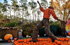 DSC_0046-EDIT-EDIT.jpg
