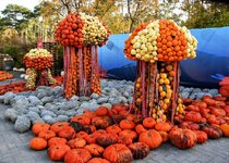 DSC_0058-EDIT.jpg