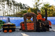 DSC_0063-EDIT.jpg