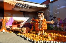 DSC_0103-EDIT.jpg