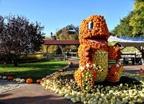 DSC_0154-EDIT.jpg