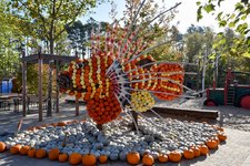 DSC_0200-EDIT.jpg