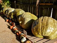 DSC_0147-EDIT.jpg