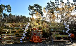 DSC_0255-EDIT.jpg