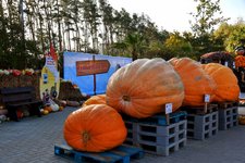 DSC_0055-EDIT.jpg