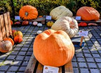 DSC_0261-EDIT-EDIT.jpg