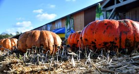 DSC_0283-EDIT.jpg