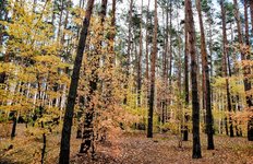 DSC_0404-EDIT-EDIT.jpg