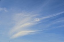 DSC_0070.JPG