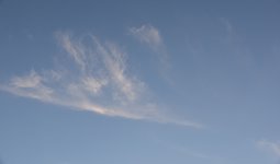 DSC_0035.JPG