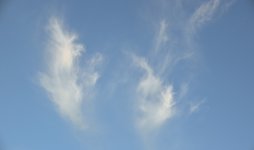 DSC_0031.JPG