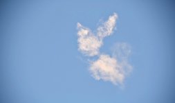 DSC_0030-EDIT.jpg