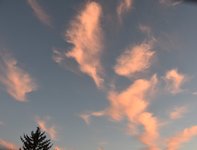 DSC_0065.JPG