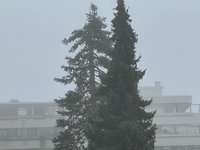 klein_ - 6 (43).jpeg