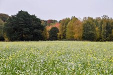 DSC_0231-EDIT.jpg
