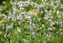 DSC_0186-EDIT.jpg