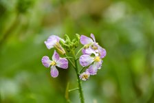 DSC_0192-EDIT.jpg