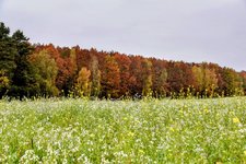 DSC_0247-EDIT-EDIT.jpg