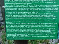 Salzsteig-2 c1306.JPG