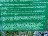 Salzsteig-4 c1308.JPG