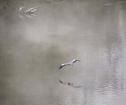 DSC_0009-EDIT.jpg