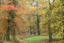 DSC_0061.JPG