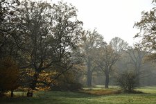 DSC_0135.JPG DSC_0135.JPG