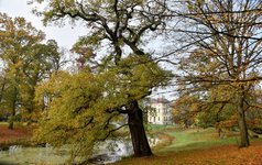 DSC_0100-EDIT.jpg