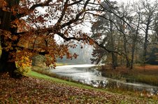 DSC_0114-EDIT.jpg