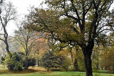 DSC_0124-EDIT.jpg