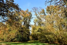 DSC_0180-EDIT.jpg