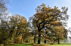 DSC_0182-EDIT.jpg