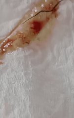 IMG_20240504_175749162_MFNR.jpg