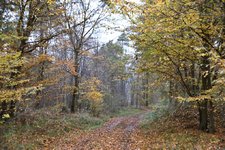 DSC_0224.JPG