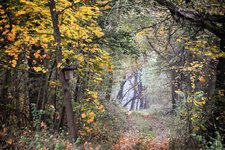 DSC_0167-EDIT (1).jpg