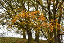 DSC_0162-EDIT.jpg