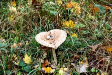 DSC_0197-EDIT.jpg