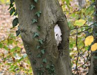 DSC_0056.JPG