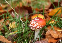 DSC_0152.JPG