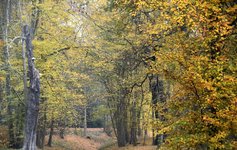 DSC_0063.JPG