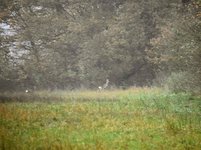 DSC_0151-EDIT.jpg