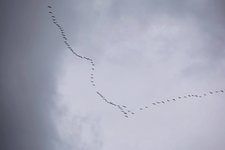 DSC_0041-EDIT.jpg