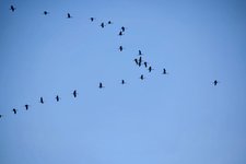 DSC_0044-EDIT.jpg